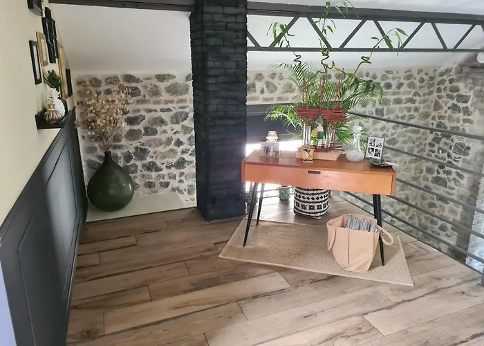 Grand Loft Avec Piscine Aux Portes Des Cevennes Вилла *