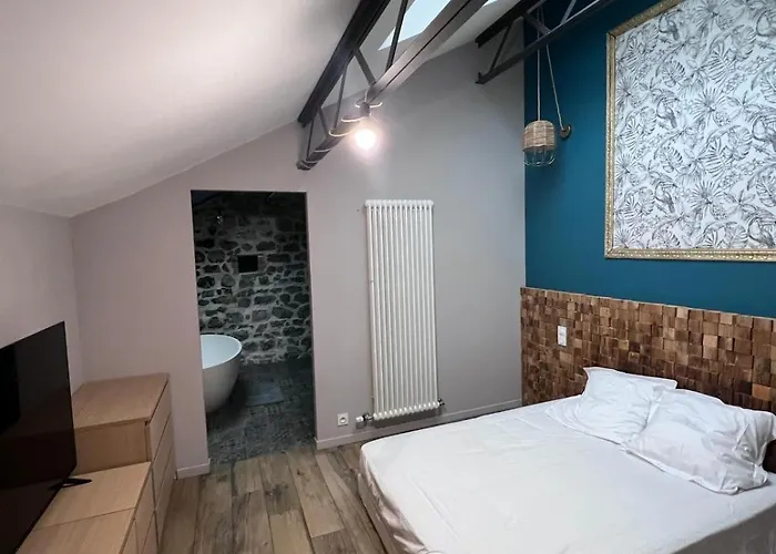 Grand Loft Avec Piscine Aux Portes Des Cevennes