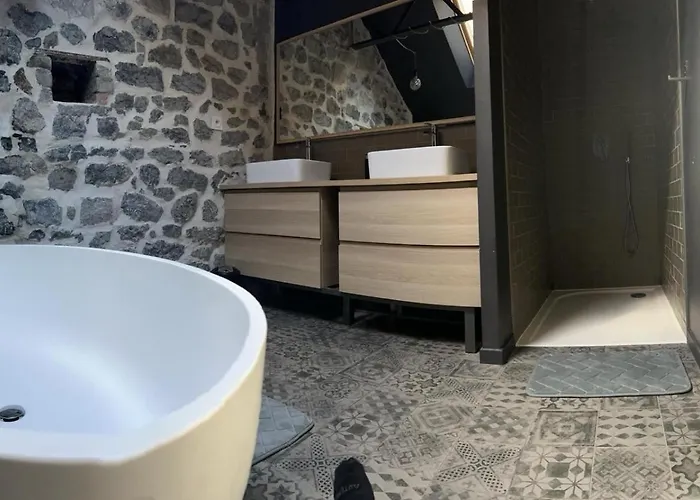 Grand Loft Avec Piscine Aux Portes Des Cevennes *