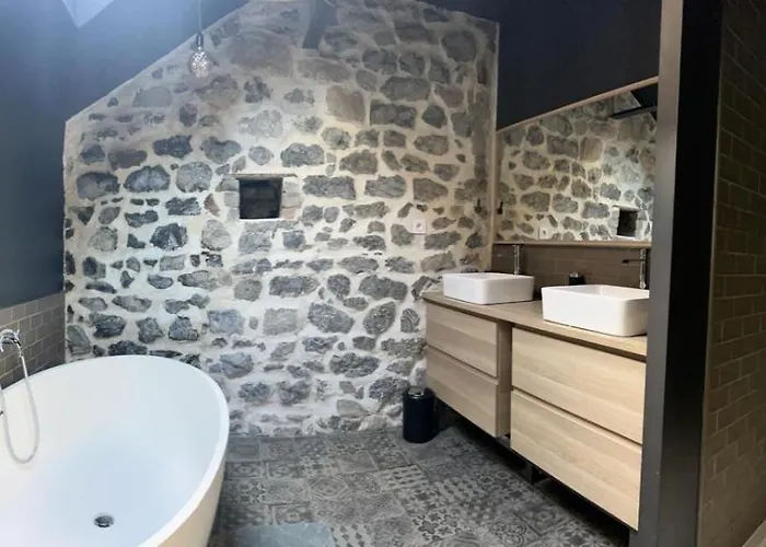 Grand Loft Avec Piscine Aux Portes Des Cevennes Cendras