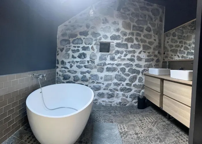 Grand Loft Avec Piscine Aux Portes Des Cevennes